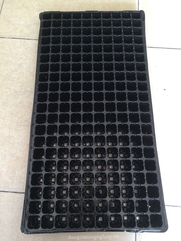 Khay ươm hạt giống 200 lỗ