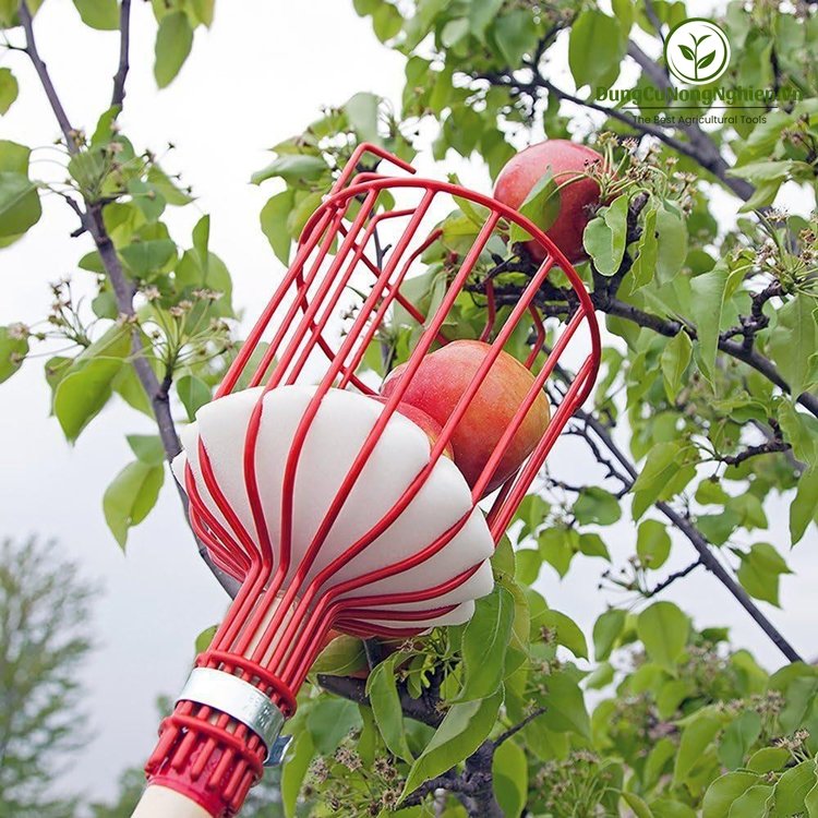 Lồng hái trái cây đa năng 14cm + thân 4met