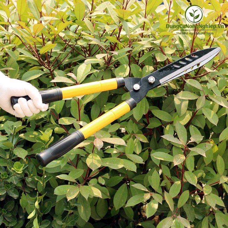 Kéo cắt tỉa công viên cây xanh cắt tỉa cỏ, lá