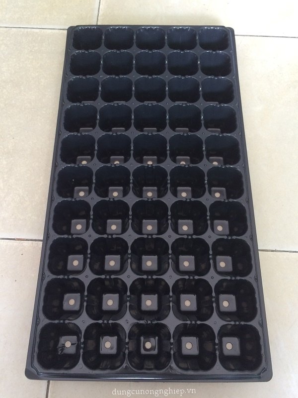 Khay ươm hạt giống 50 lỗ