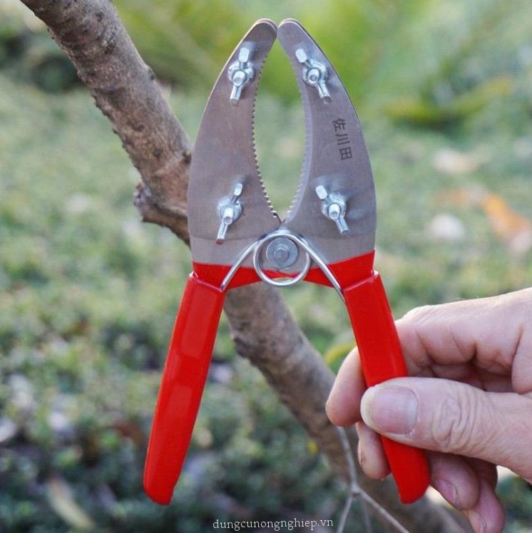 Kéo khoanh vỏ chiết cành kép lưỡi răng cưa điều chỉnh