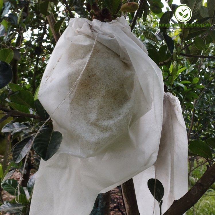 Túi bao mít 50x70cm siêu dày (vải) - Loại tốt