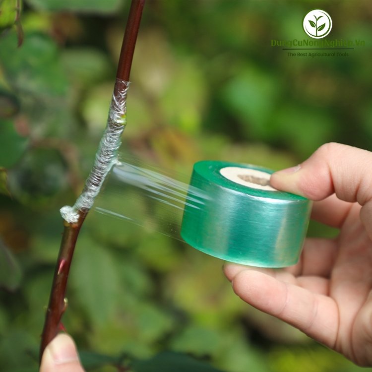 Băng ghép cây cuộn xanh 5cm