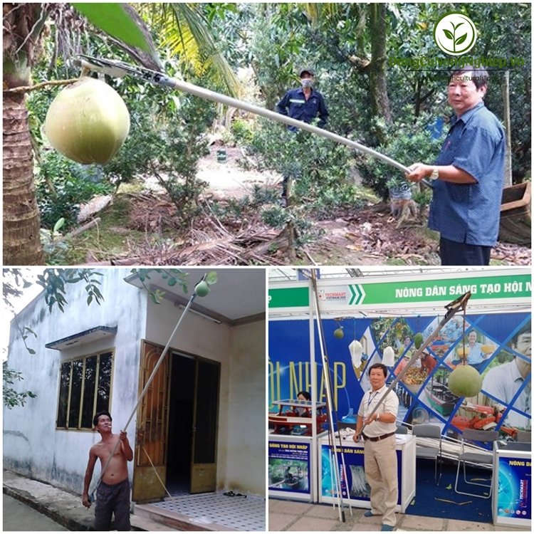 Phụ kiện kẹp giữ kéo cắt cành trên cao Phước Lộc