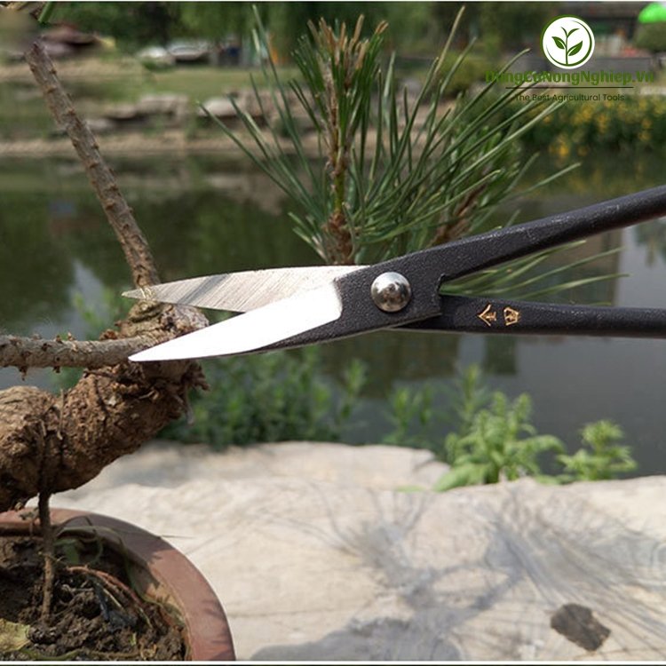 Kéo tỉa bonsai cao cấp 20,5cm HM040