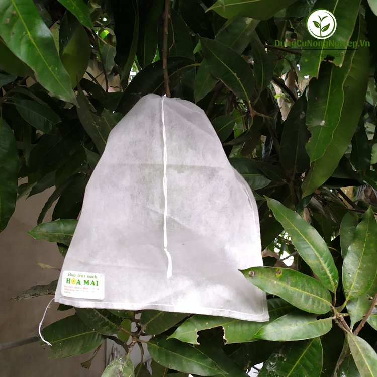 Bao trái xoài lớn 22x28cm