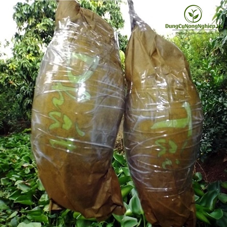 Túi bao giấy in chữ lên trái xoài