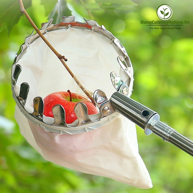 Lồng hái trái cây đa năng rộng 16cm