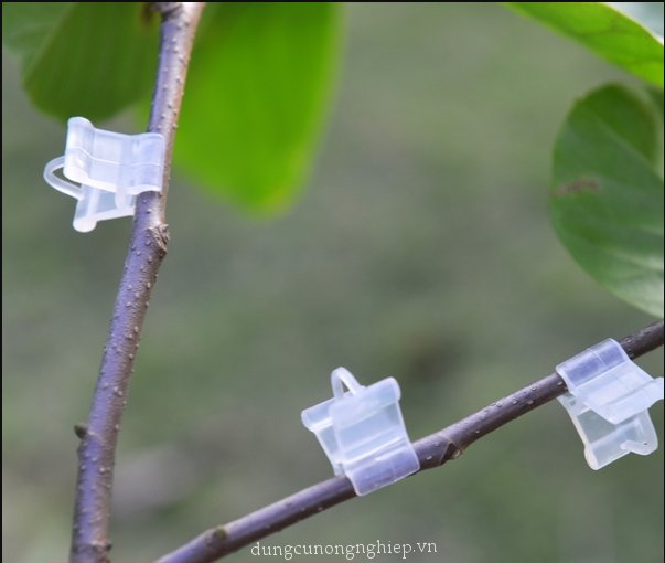 Kẹp nhựa cây giống, cà chua, hoa (gói 20 cái)