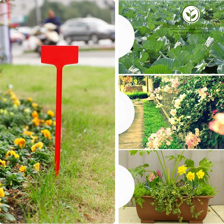 Cây ghim đánh dấu vườn hình chữ T 60cm