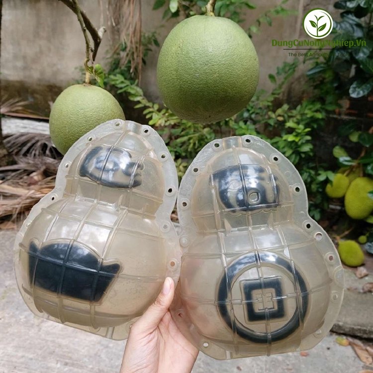 Khuôn hồ lô 2 bầu tốt lớn