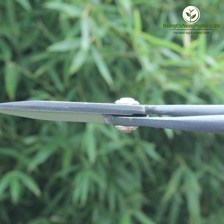 Kéo tỉa bonsai cao cấp 19,5cm HM041