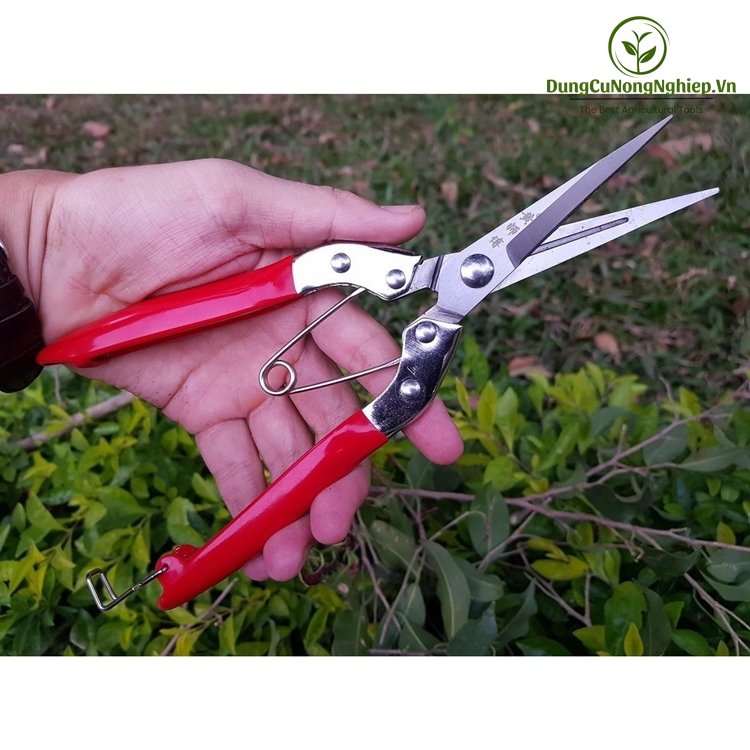 Kéo tỉa cành SK5