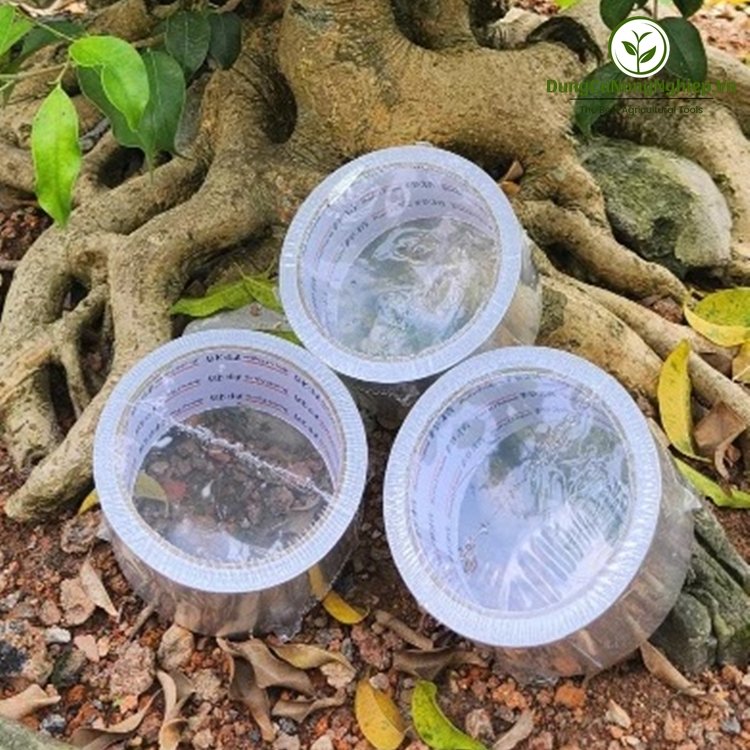 Băng dính bạc hỗ trợ liền da cây 20m