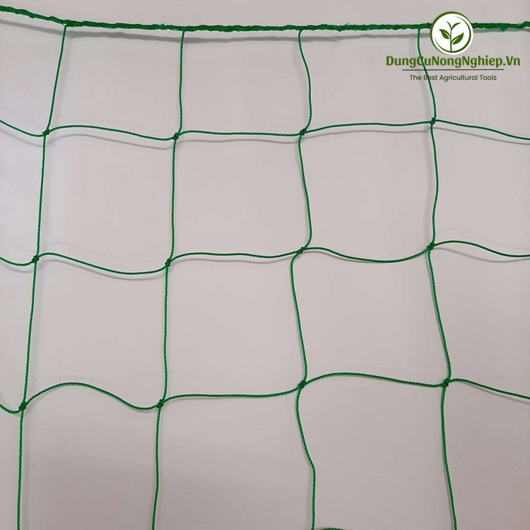 Lưới dàn dây leo ROSA 2mx3m