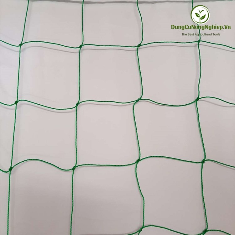 Lưới giàn dây leo ROSA 1mx3m