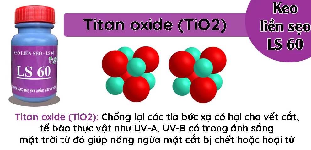 Keo liền sẹo - LS 60 (100gr)