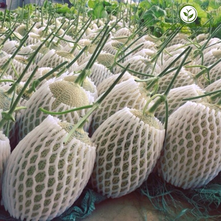 Bao xốp lưới bao dưa, bưởi, thanh long màu trắng 22cm