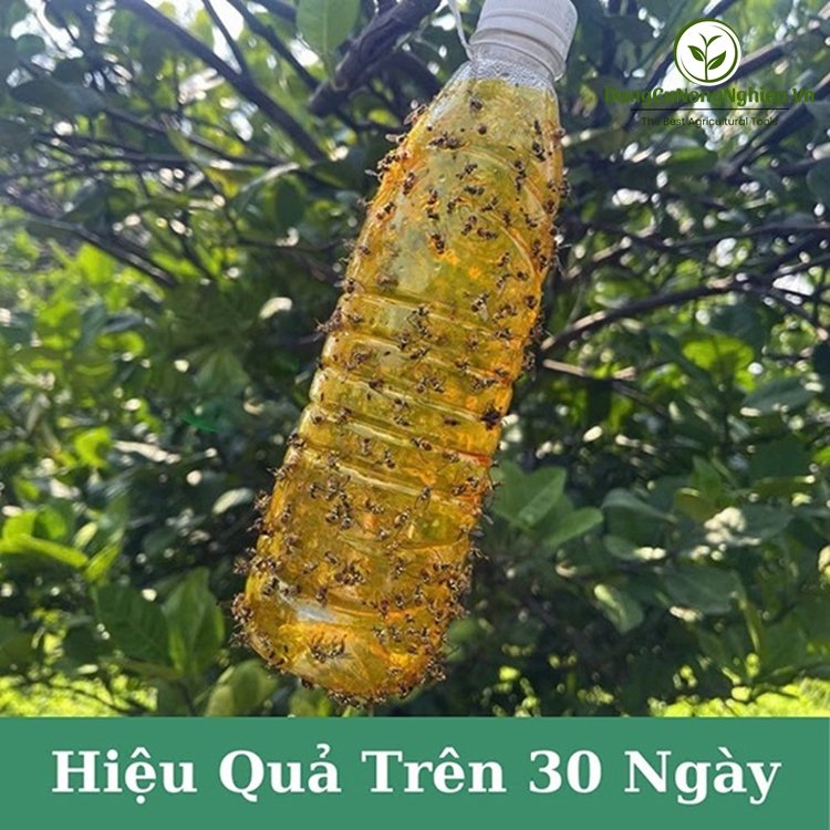 Chai keo xịt bẫy ruồi vàng (750ml)
