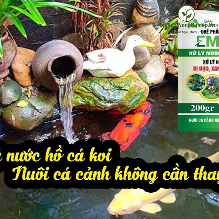 EMZEO xử lý nước hồ (bị đục, rêu, vàng) 200gr
