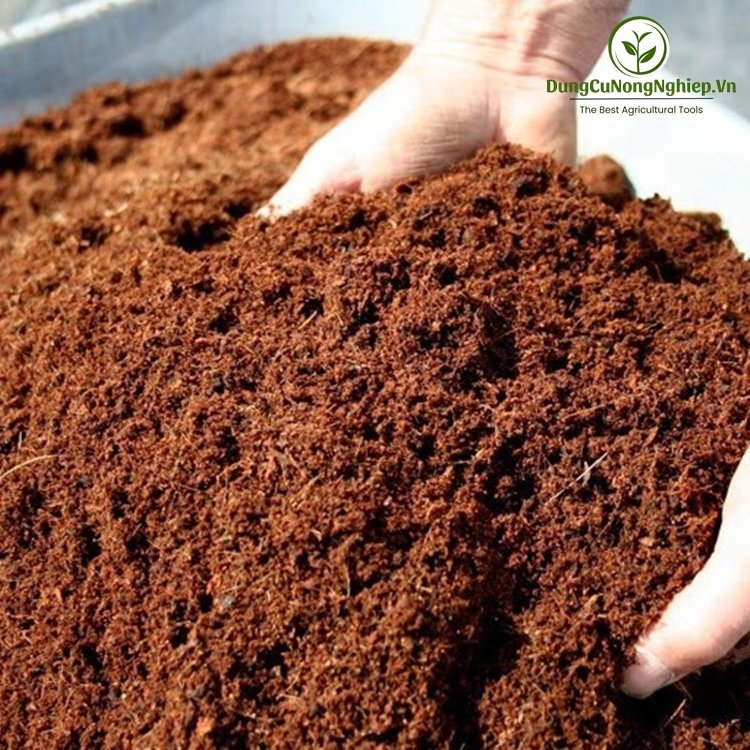 Mụn dừa 5dm3 SFARM