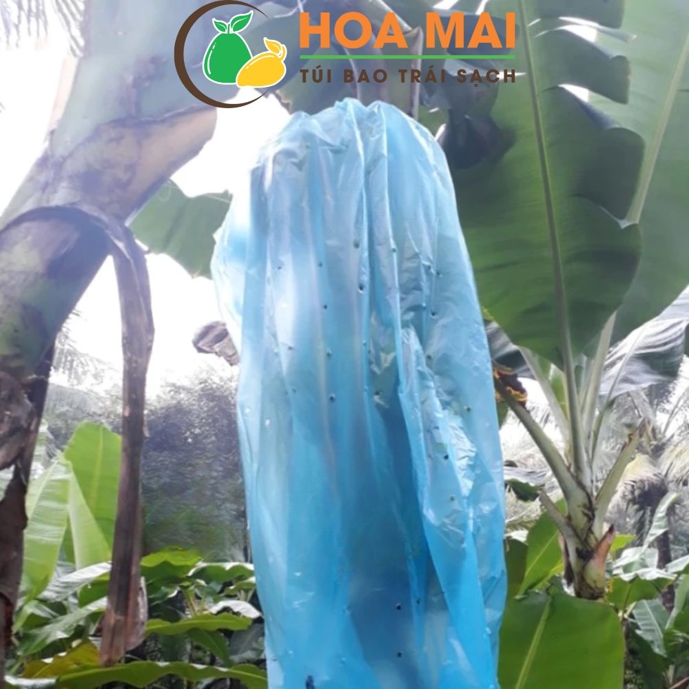 Túi bao buồng chuối Nylon 70x140 ( Dày)