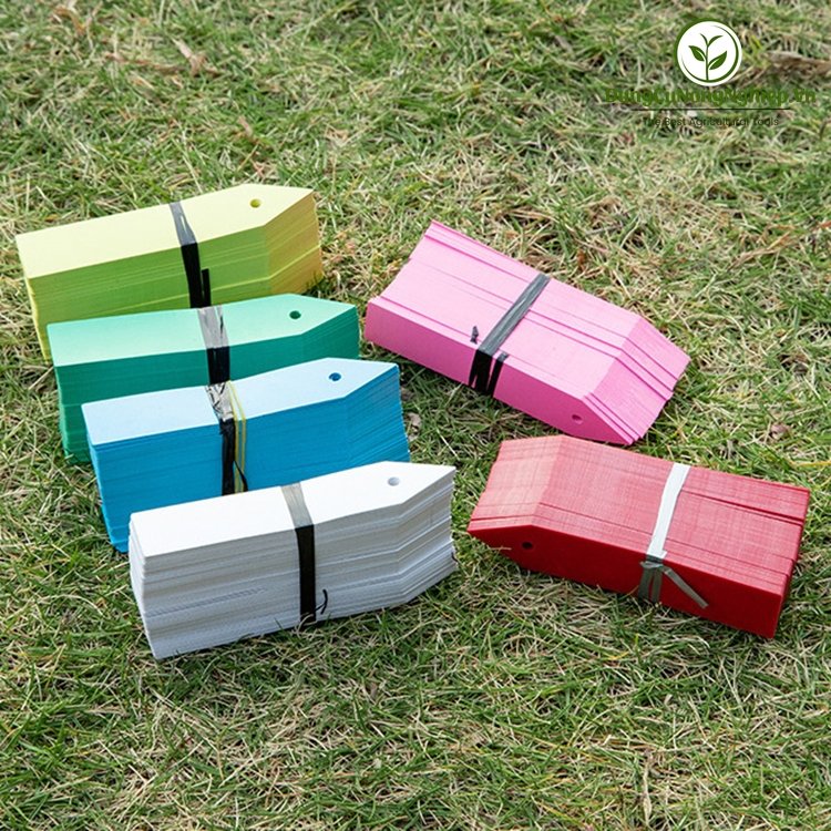 Thẻ treo ghi tên cây nhiều màu (set 10 cái)