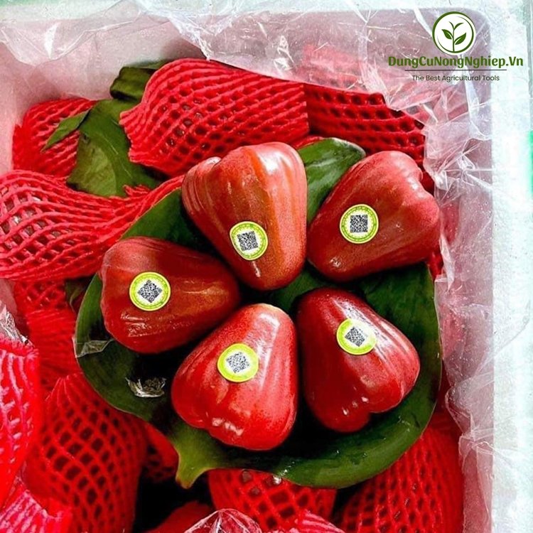 Bao xốp cho mận màu đỏ - dài 14cm - 1kg