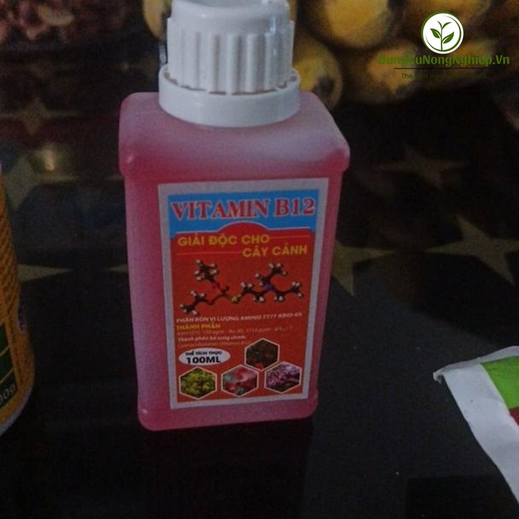 B12 (100ml)
