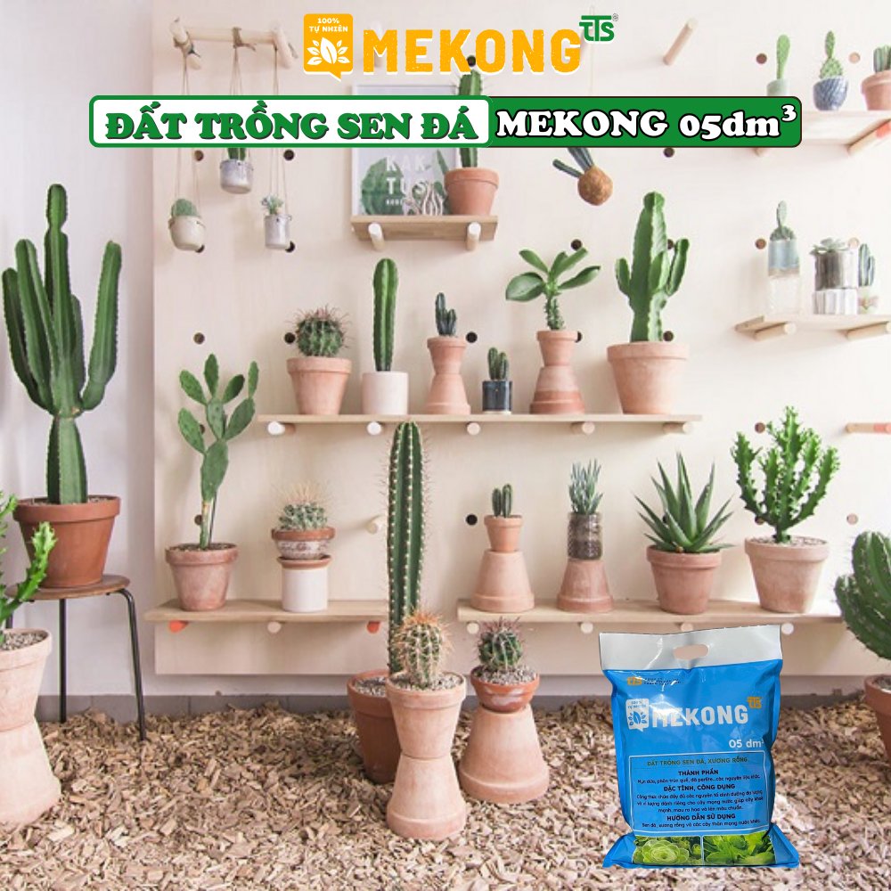 Đất trồng sen đá, xương rồng MeKong 5dm3