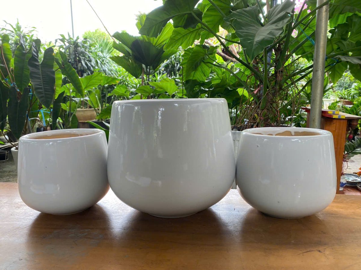 Chậu Men Trụ Tròn