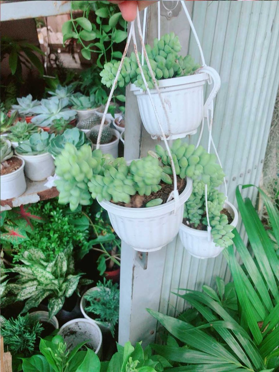 Chuỗi Ngọc Mẫu 001