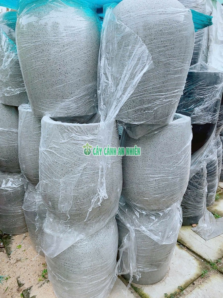 (Hỏa Tốc) Chậu Đá Mài Trứng Nhiều Kích Thước
