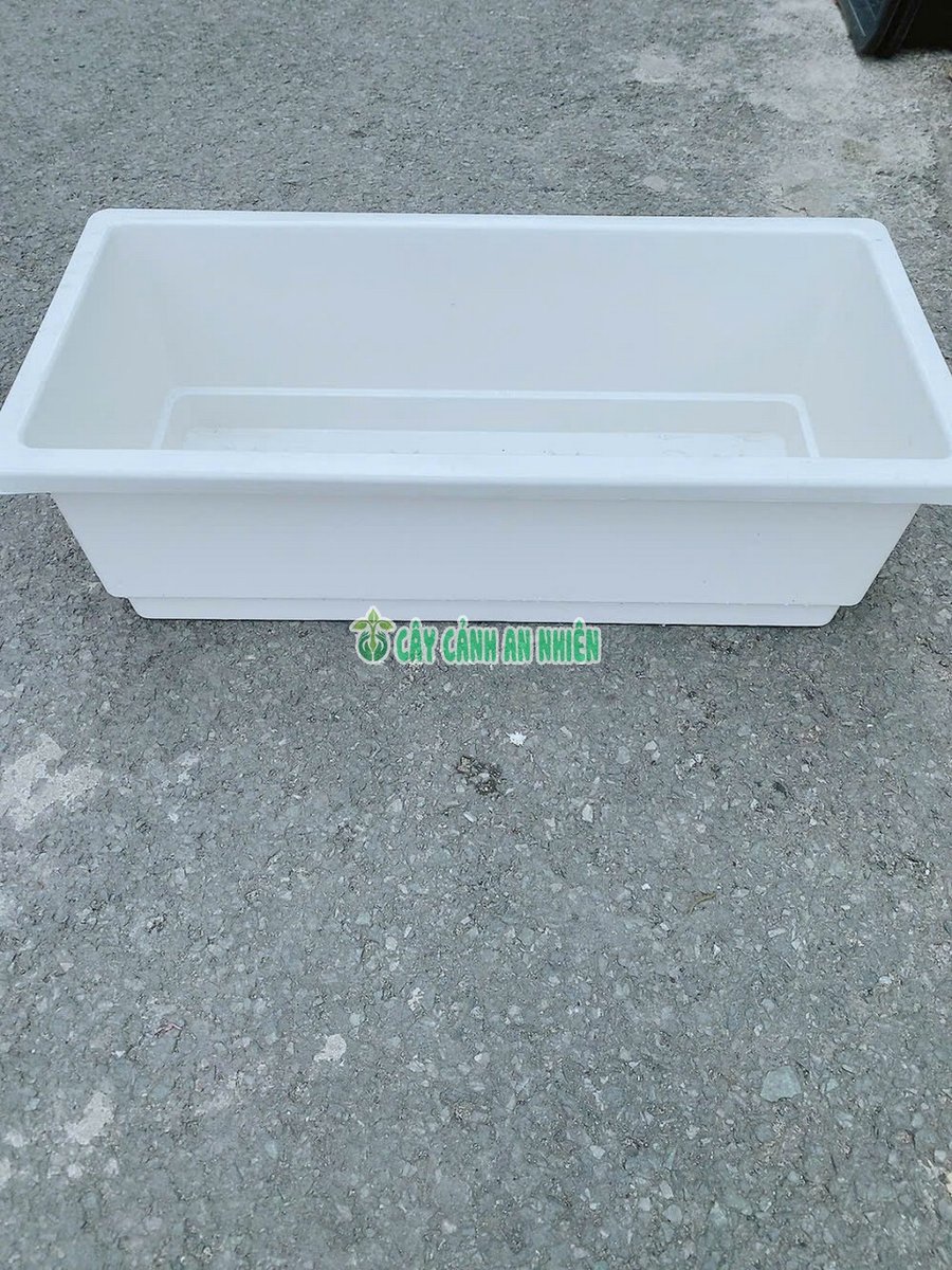 Chậu Nhựa Chữ Nhật (64*30*20cm)