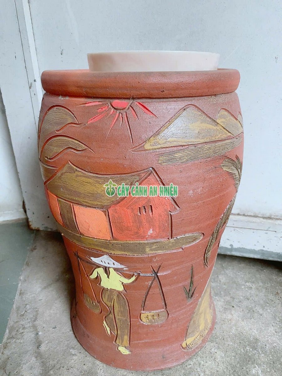 Chậu Chum Trồng Hoa Sen Hoa Súng