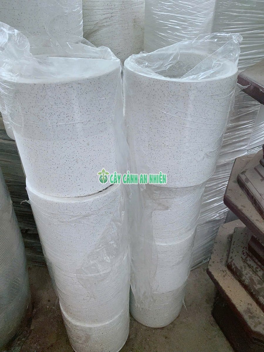 (Hỏa Tốc) Chậu Đá Mài Trụ Tròn Trồng Cây Nhiều Kích Cỡ
