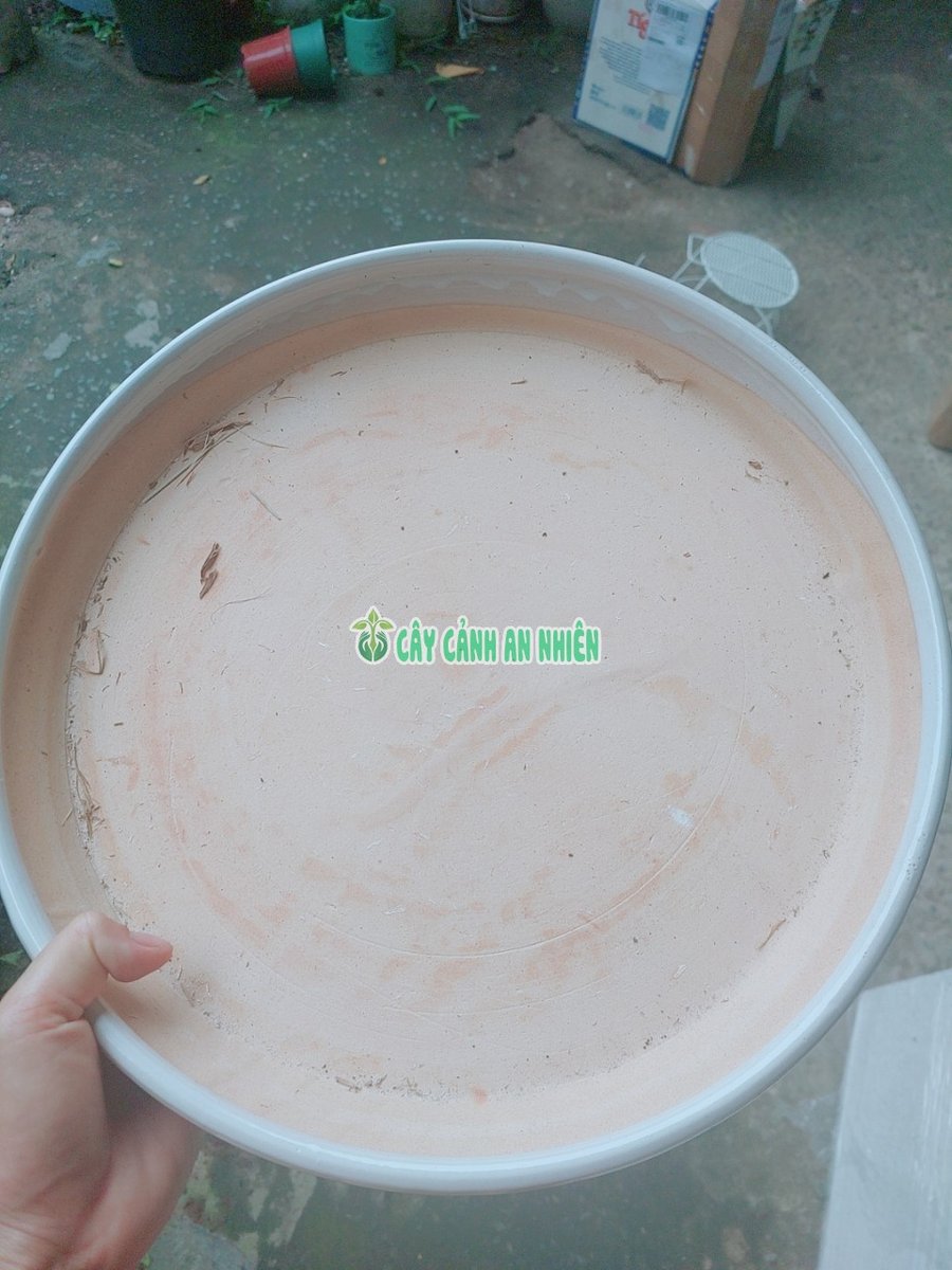 Dĩa Lót Chậu Bằng Sứ