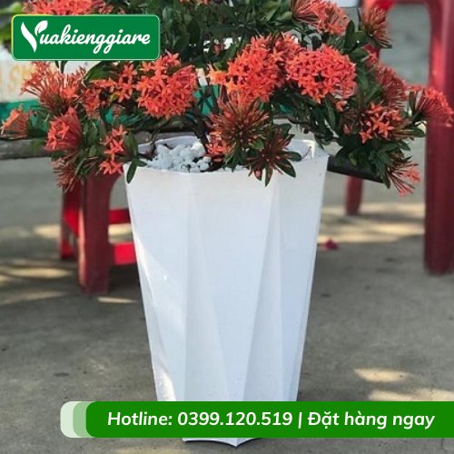 Chậu Nhựa Bát Giác Trồng Cây