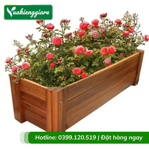 Chậu Gỗ Trồng Cây Hình Chữ Nhật