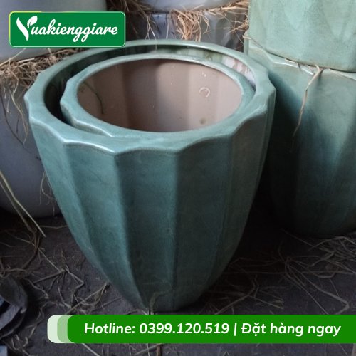 Chậu sứ trồng cây hình trái khế