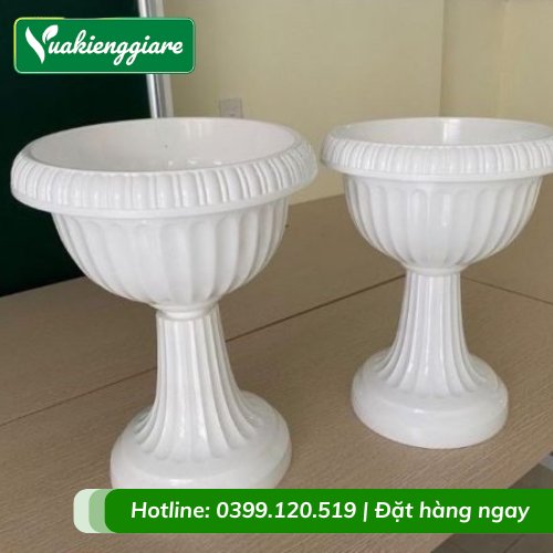 Chậu Nhựa Ly Đế Thấp