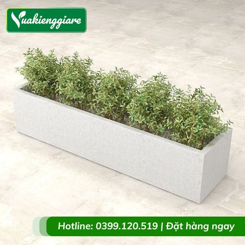 Chậu Xi Măng Đá Mài Hình Chữ Nhật 60×25