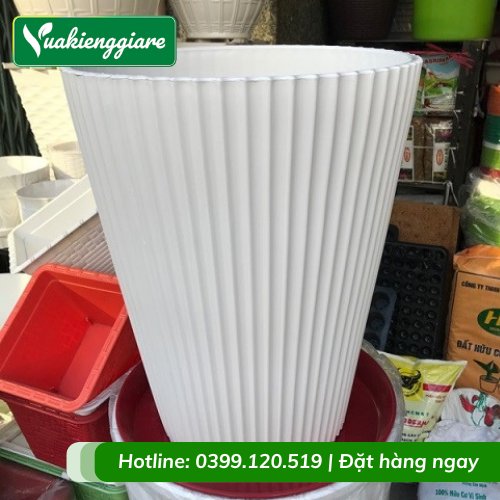 Chậu Nhựa Đứng Trồng Cây Gân Sọc