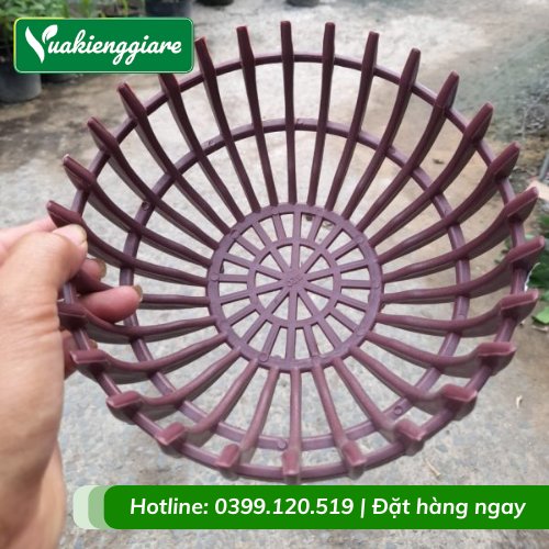 Chậu Nhựa Giả Gỗ Trồng Lan Hình Bí 20cm