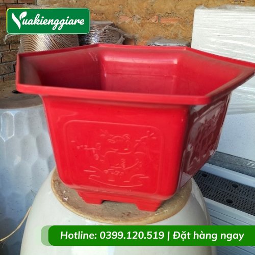 Chậu Nhựa Lục Giác Trồng Cây