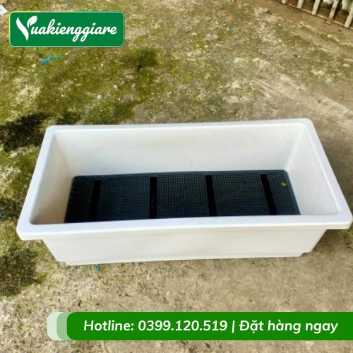 Chậu Nhựa Trồng Cây Dài 60×30