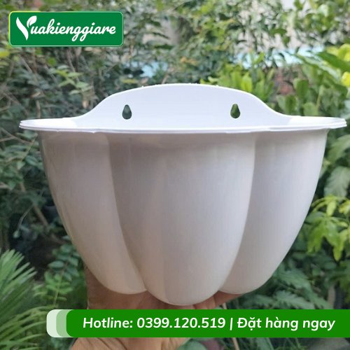 Chậu Nhựa Ốp Tường Trồng Cây