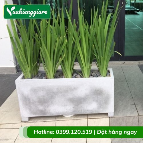Chậu Xi Măng Đá Mài Hình Chữ Nhật Có Đế