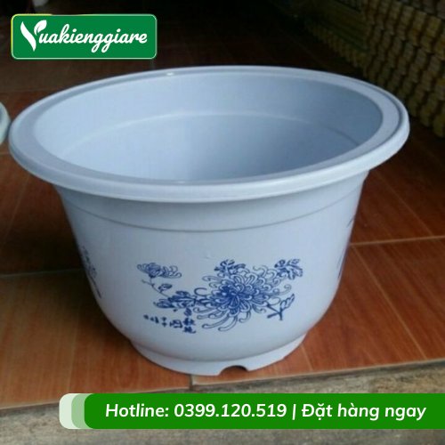 Chậu Nhựa Trồng Cây Bình An – Sung Túc