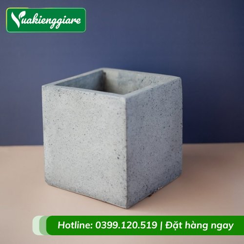 Chậu Xi Măng Đá Mài Hình Vuông 30cm